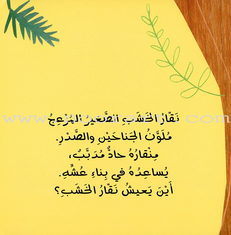 Push and Pull Series (Set of 4 Books) ادفَع واسحَب