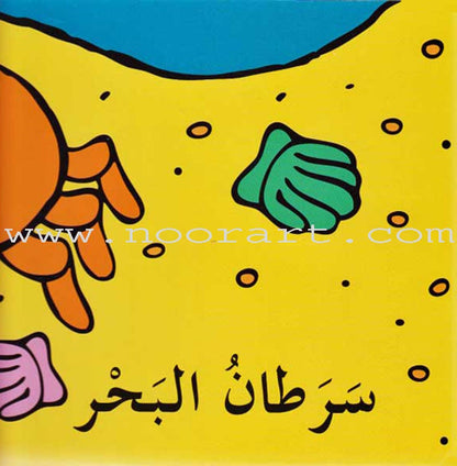 New and Useful Books Series (Set of 4 Books) سلسلة كتب جديدة مفيدة