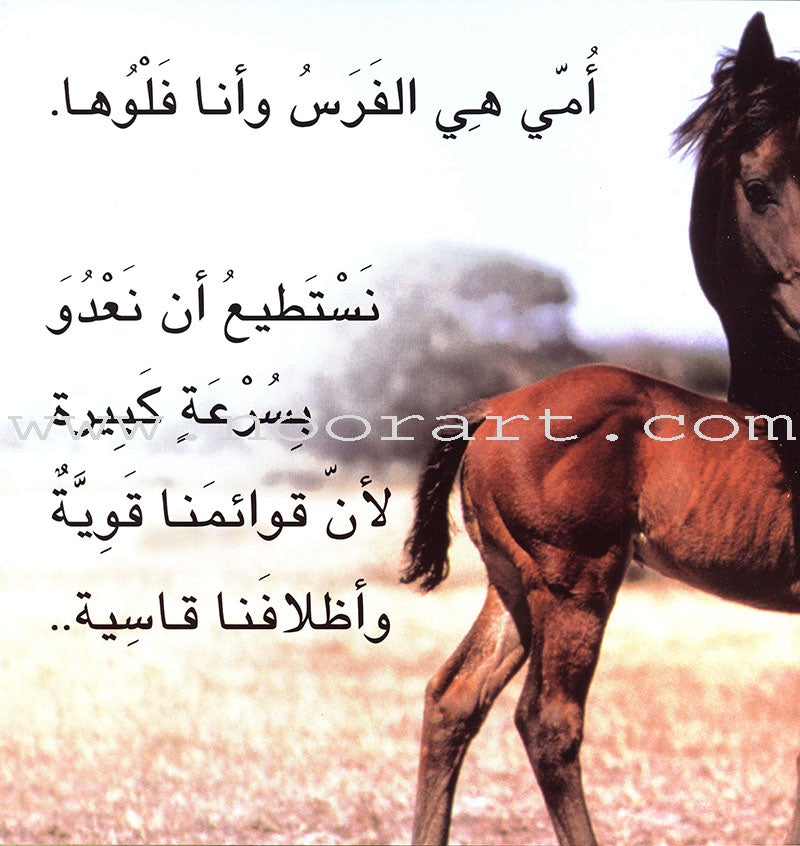 Baby Animal Series (8 Books) سلسلة صغار الحيوانات