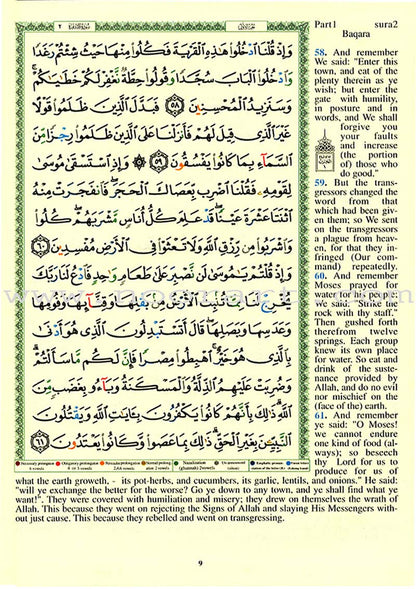 Tajweed Qur'an (Whole Qur’an, With Meaning Translation in English) (7"x9") (Colors May Vary)  مصحف التجويد