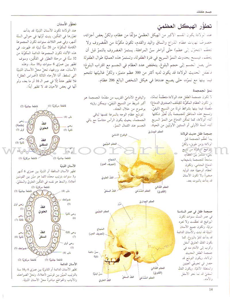 When your Child Gets Sick عندما يمرض طفلك