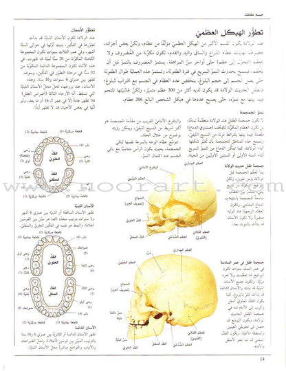 When your Child Gets Sick عندما يمرض طفلك