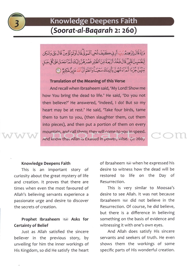 Islamic Studies: Grade 10