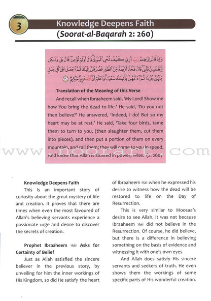 Islamic Studies: Grade 10