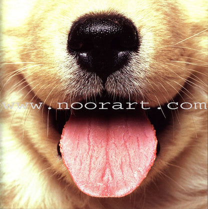 Baby Animal Series (8 Books) سلسلة صغار الحيوانات