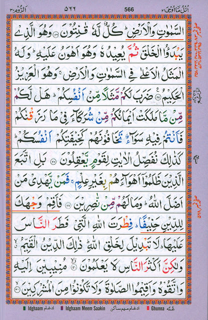 Holy Qur'an with Color-Coded Tajweed Rules - Majeedi Script, 13 Lines (Various Covers)