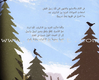 Memories Tree شجرة الذكريات