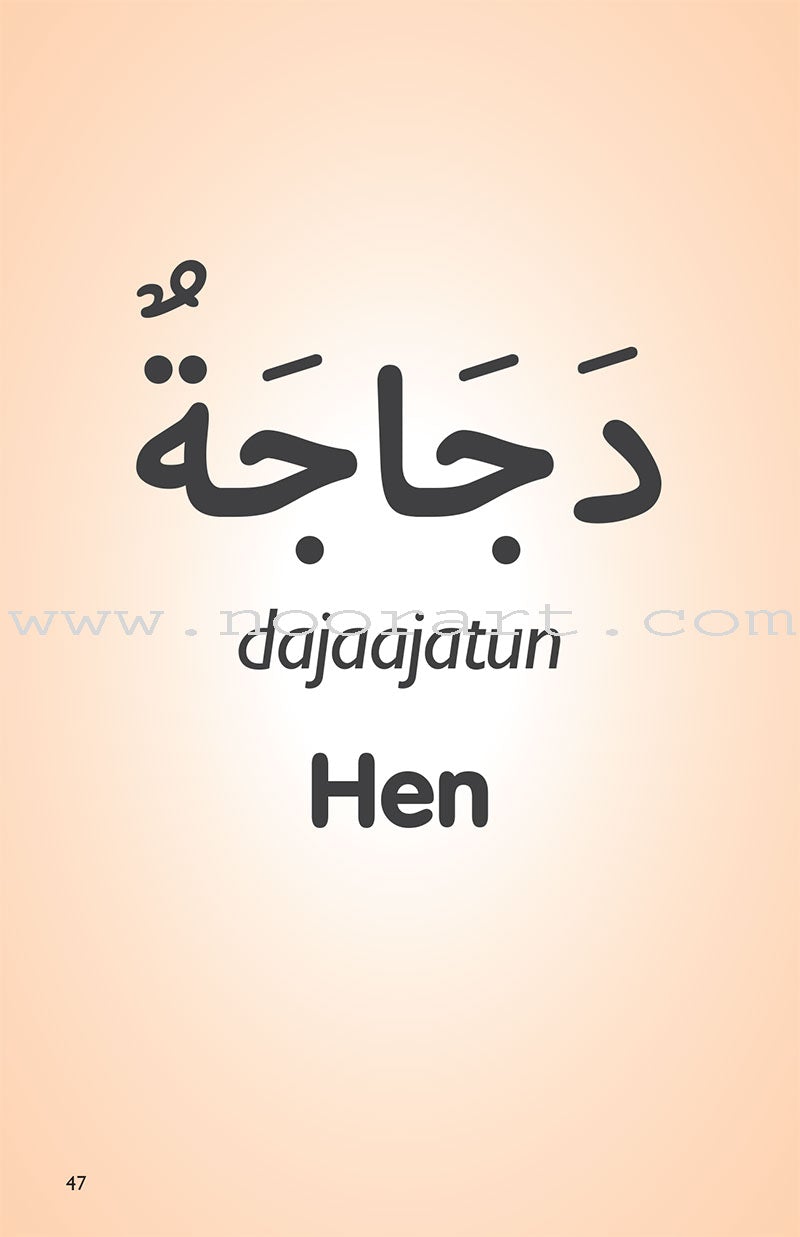 My First 50 Arabic Words