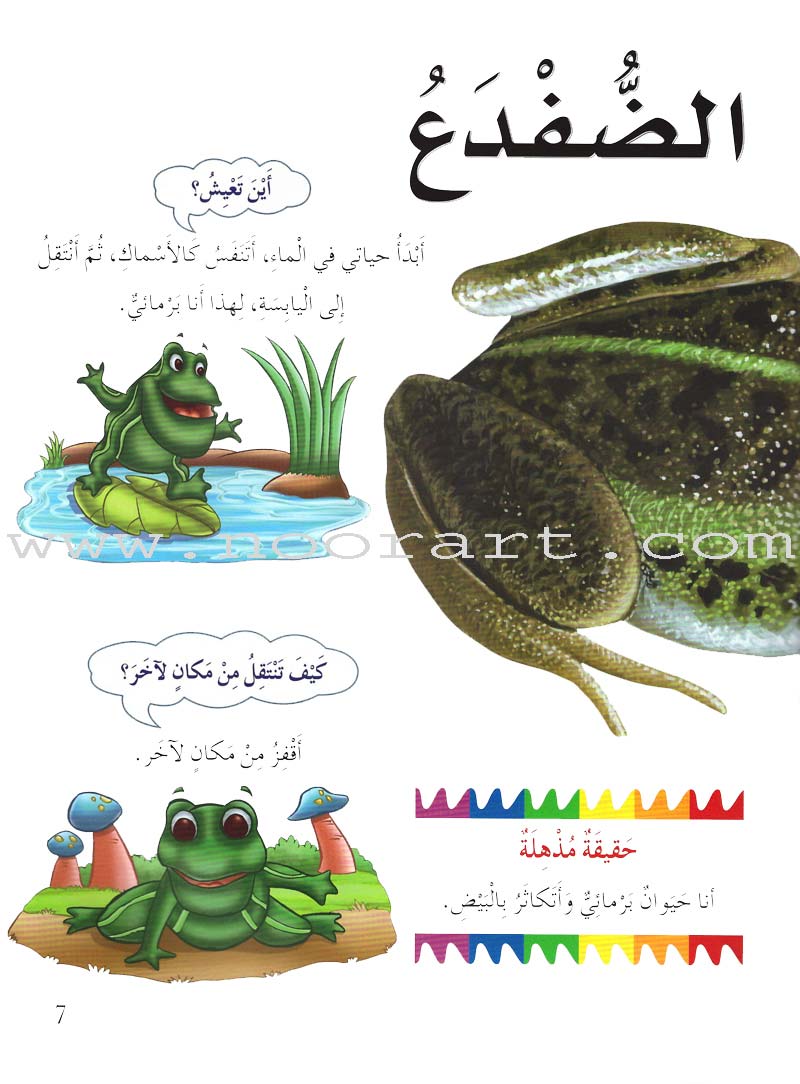 My First Questions and Answers Series سلسلة أسئلتي وأجوبتي الأولى