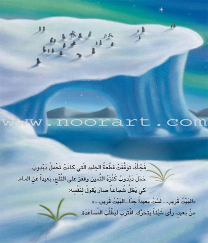 Buds Series (4 books, with DVD) سلسلة البراعم